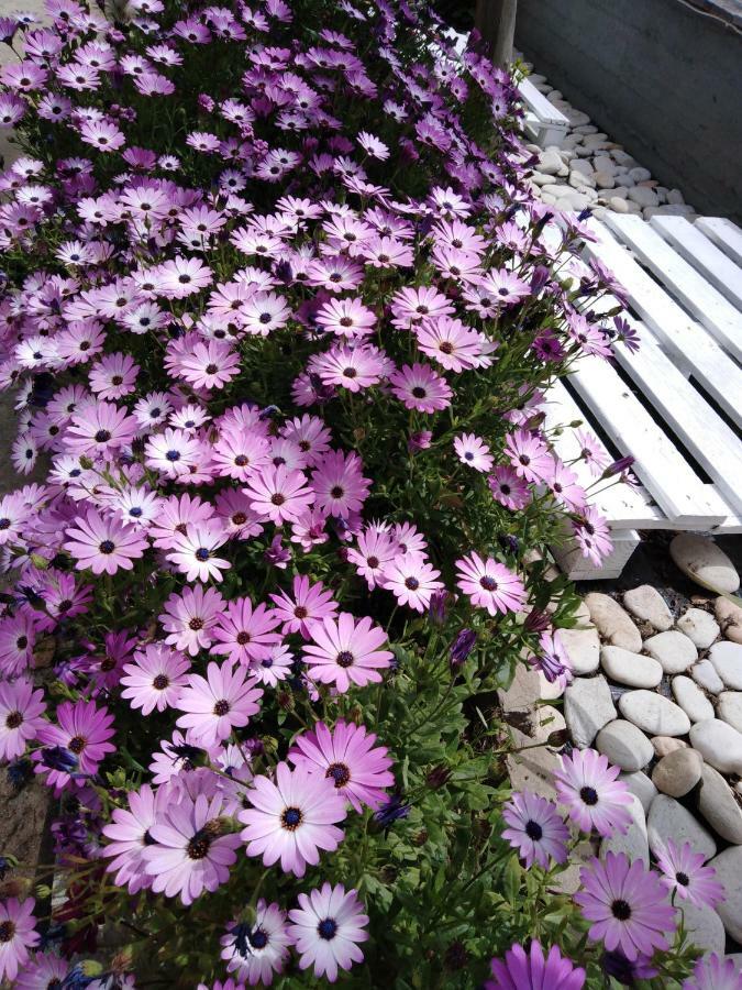 Sofia'S Garden Apartment Лименария Екстериор снимка